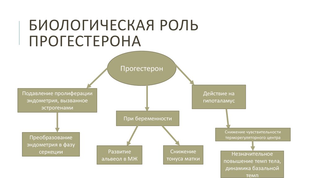 прогестерон норма у женщин